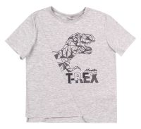 Футболка T-Rex (7 років 122 розмір)